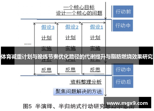 体育减重计划与晚练节奏优化路径的代谢提升与脂肪燃烧效果研究